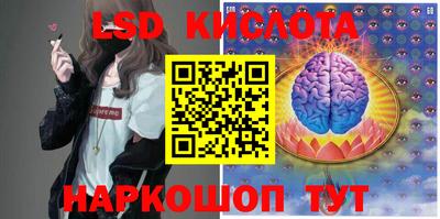 индика Гусиноозёрск
