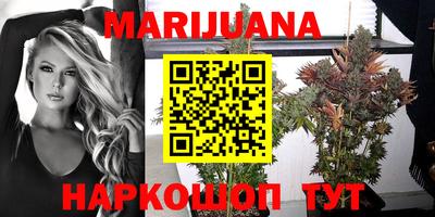 индика Гусиноозёрск
