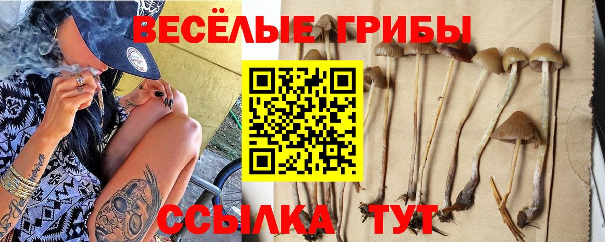 Тихорецк  Галлюциногенные грибы MAGIC MUSHROOMS  Псилоцибиновые грибы Psilocybine cubensis  где можно купить наркотик  Вход с VPN 