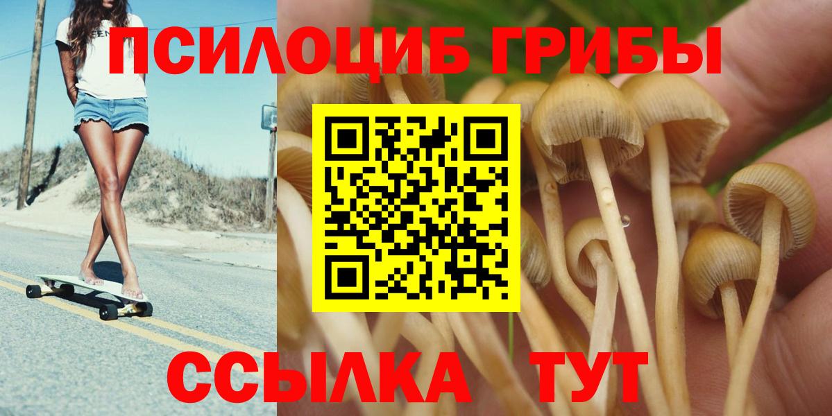 Псилоцибиновые грибы Psilocybine cubensis Тихорецк
